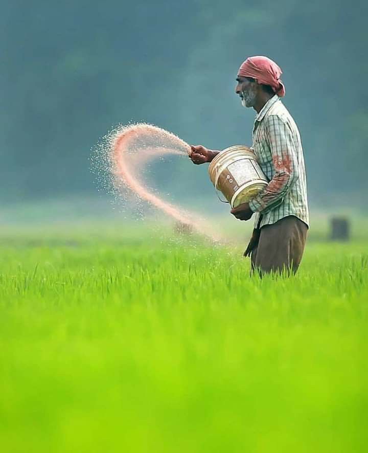 MS Groups Sustainable Agriculture Division
