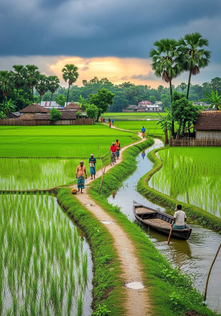 MS Groups Sustainable Farming and Agriculture Services