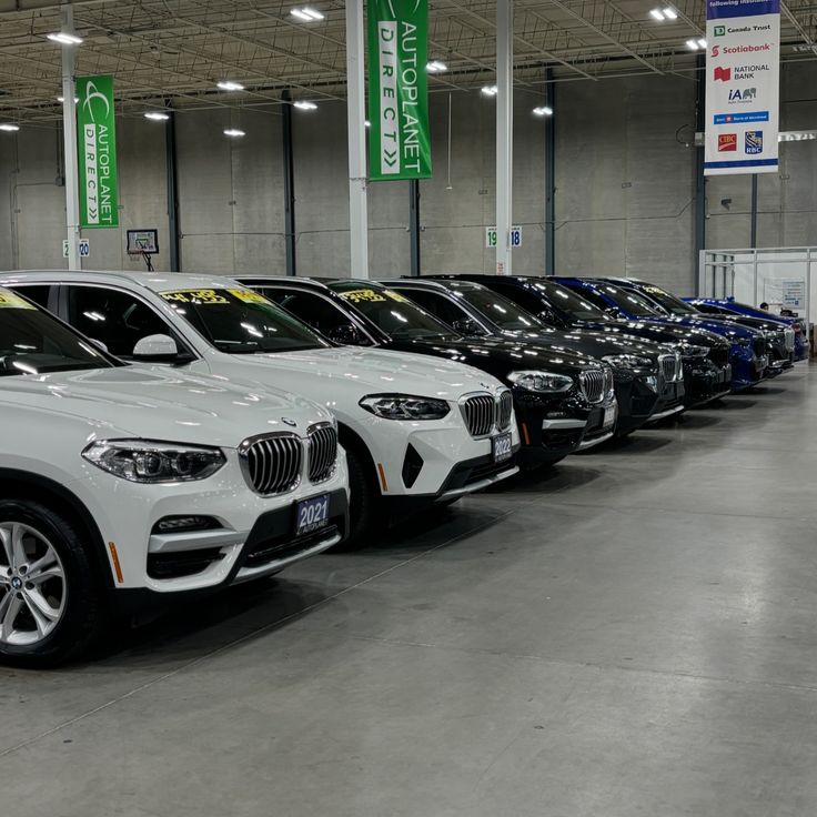 MS Groups Automotive and Pre-Owned Vehicles