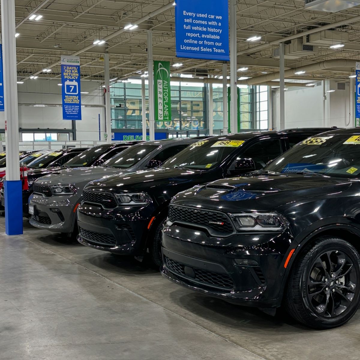 MS Groups Automotive and Pre-Owned Vehicles